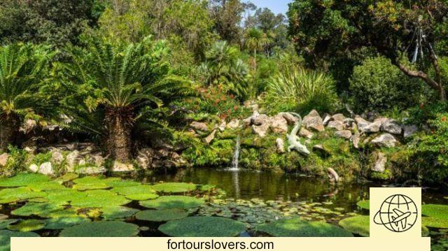 La Mortella Garden, masterpiece of southern Italy