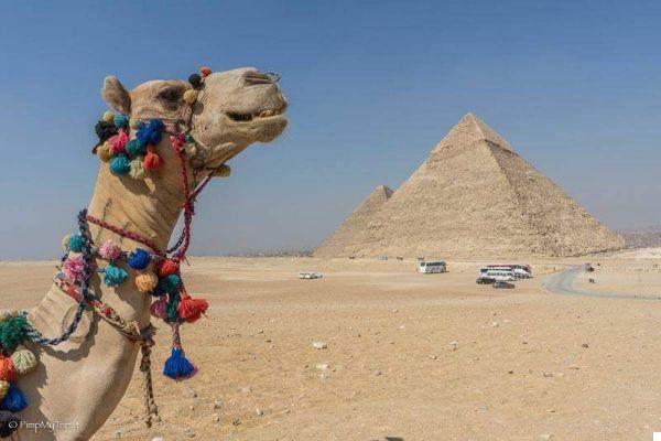 10 conseils pour voyager en Égypte en toute sécurité