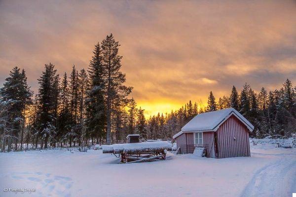 10 razones para visitar Suecia en invierno