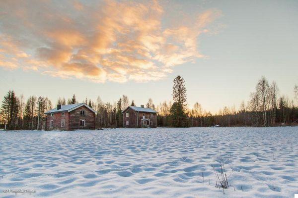 10 raisons de visiter la Suède en hiver