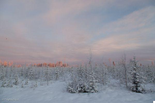 10 Reasons to Visit Sweden in Winter