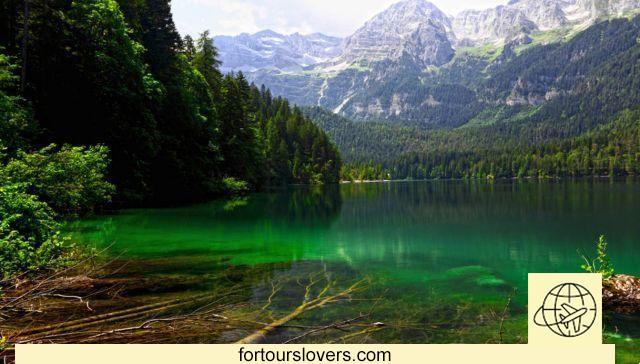 The top ten Italian forests