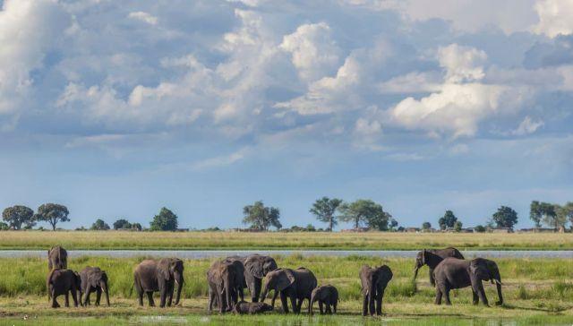 À descoberta do Botswana, entre a aventura e as maravilhas naturais