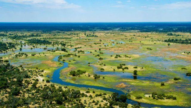 Discovering Botswana, between adventure and natural wonders