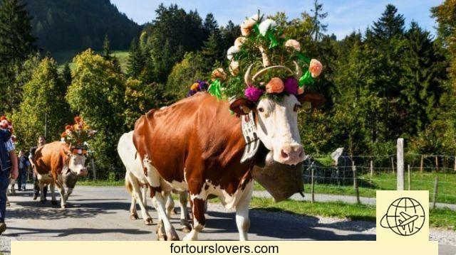 In Ebbs, Austria, in the land of the Carnival of Flowers