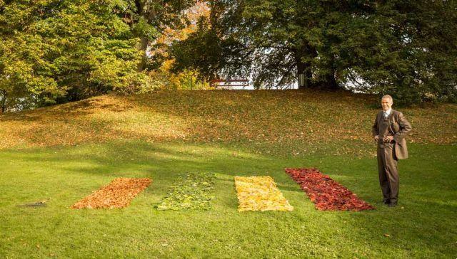 What they do in Switzerland when the foliage ends in autumn