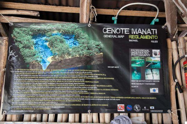 Cenote Discovery, dive into the Mayan caves without a diving license