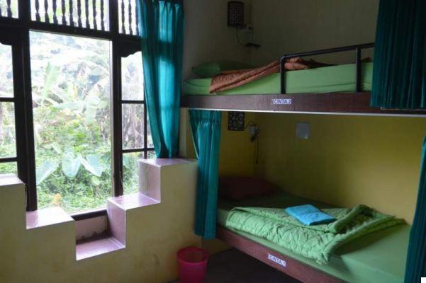 Dónde alojarse en Ubud: los mejores hoteles (por rango de precios)