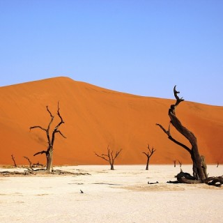 When to go to Namibia, Best Month