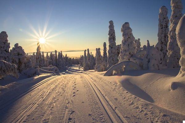 What to do and see in Finland: activities and places not to be missed