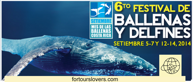 Whale watching in Costa Rica: Uvita and the Marino Ballena park