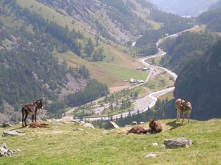 The Lanzo Valleys: guide to an alpine oasis hidden from mass tourism (part I)