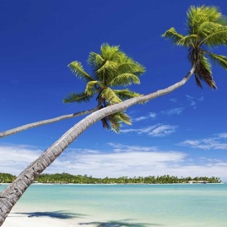 Quand aller aux îles Fidji (ou Figi), meilleur mois, météo, climat, heure