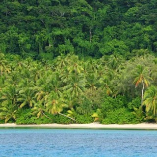 Quand aller aux îles Fidji (ou Figi), meilleur mois, météo, climat, heure
