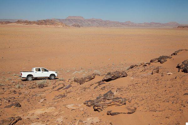 Dónde dormir en Wadi Rum: Tented Camps, Lodges o Martian Domes?