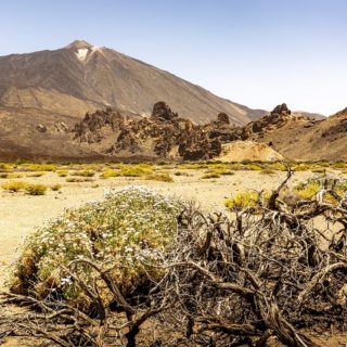 When to go to Tenerife, Best Month, Weather, Climate, Time