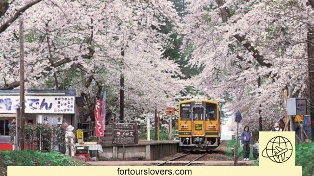 En Japón, el tren que ofrece un viaje de cuento de hadas en la nieve