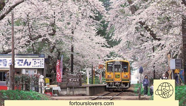 No Japão, o trem que oferece uma viagem de conto de fadas na neve