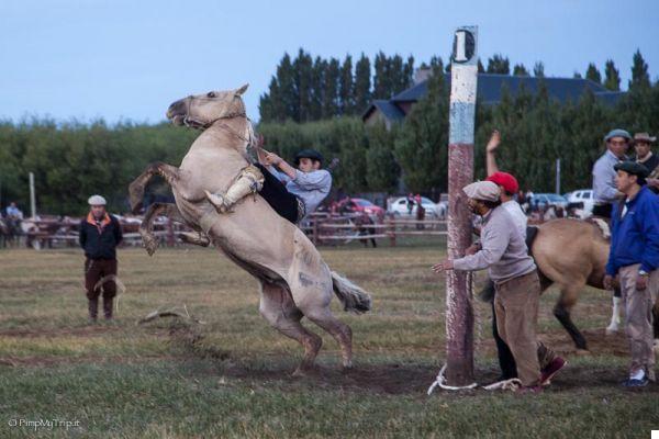 Gauchos of Argentina, A Rodeo in the Patagonian Steppe
