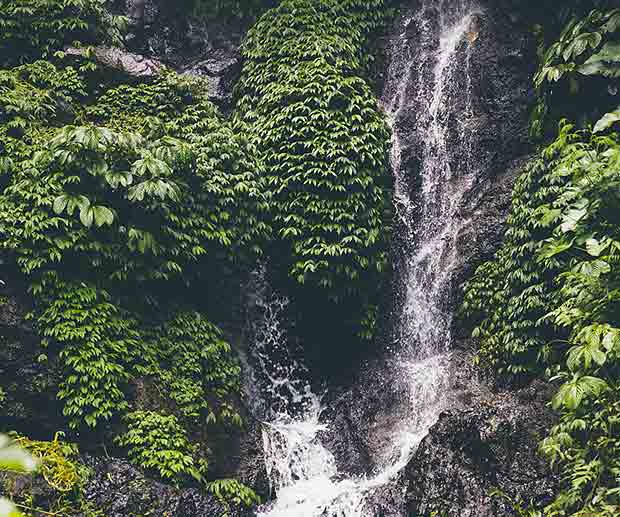 Les meilleures chutes d'eau de Bali à ne pas manquer