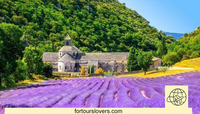 Tour through the south of France: Côte d'Azur, Provence and Camargue