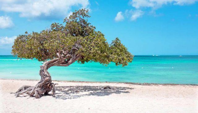 ¿Por qué se llama a Aruba la isla de la felicidad? solo miralo