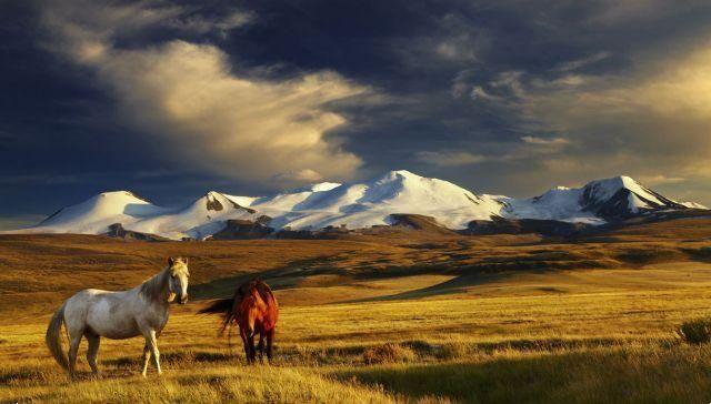 Take an adventurous trip to Mongolia