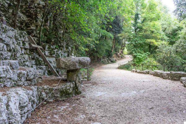 Eremo delle Carceri: What to See, History and Information