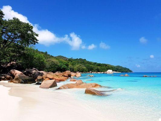 Honeymoon in the Seychelles