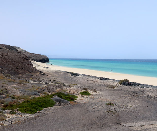 Isla de Fuerteventura: Información