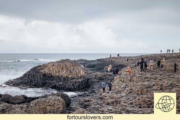 Giant's Causeway, like visiting the spectacular Giant's Causeway