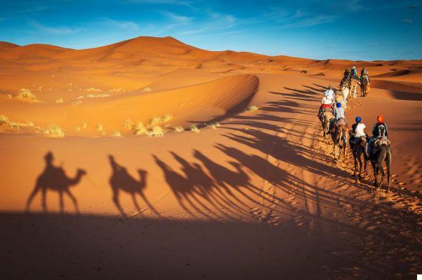 Les meilleures excursions au départ de Marrakech