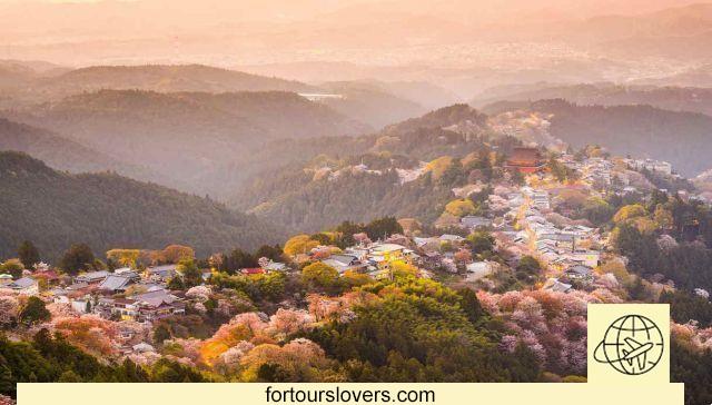 Japan: what to visit and travel tips