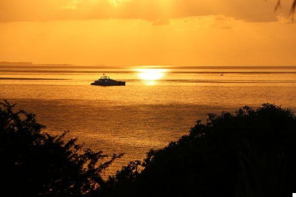 Discovering Mozambique and its wild nature