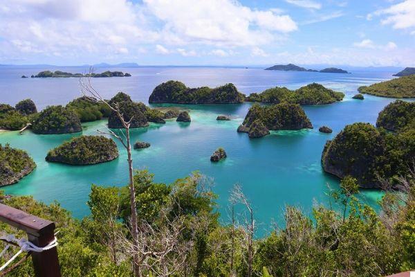 Raja Ampat: a journey to the tropics between dream and reality