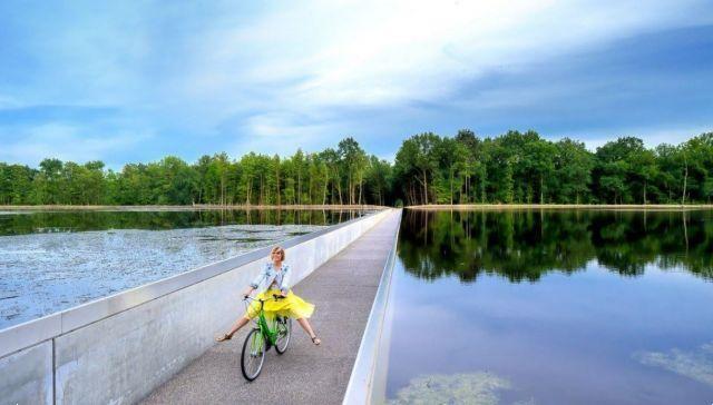 Cycling on water: in a Belgian nature reserve
