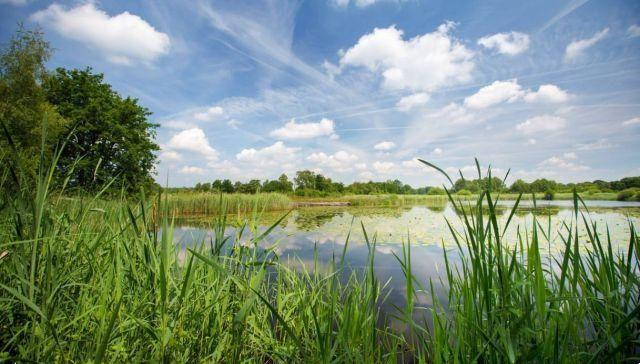 Cycling on water: in a Belgian nature reserve