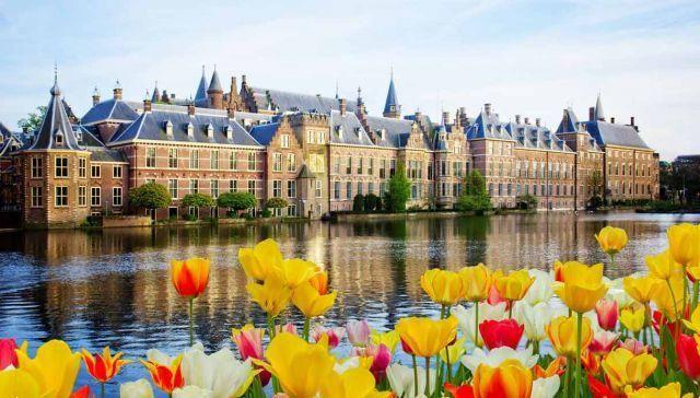 Travel Guides: The Hague