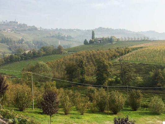 Discovering the Langhe with Nightswapping