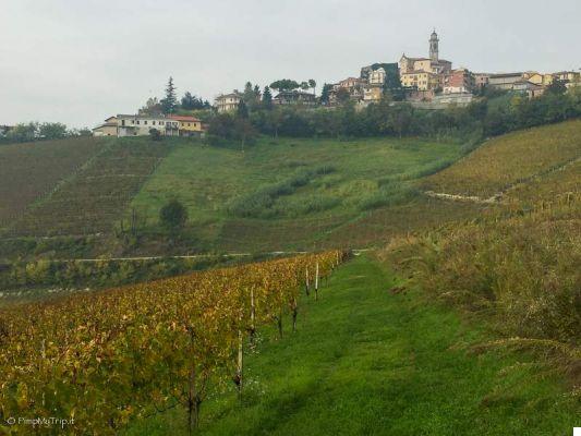 Discovering the Langhe with Nightswapping