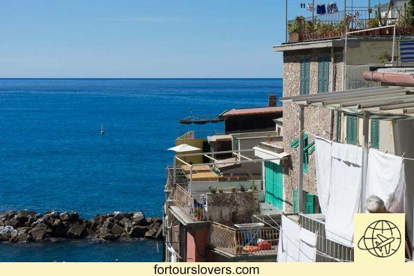 Cinque Terre: how to visit them by train and the road to the 