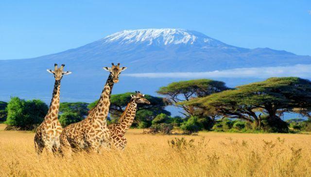Cuándo ir a Kenia, cómo elegir la mejor época del año