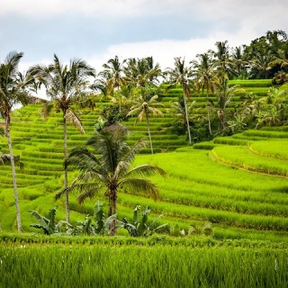Quand aller à Bali, Meilleur mois, Météo, Climat, Heure