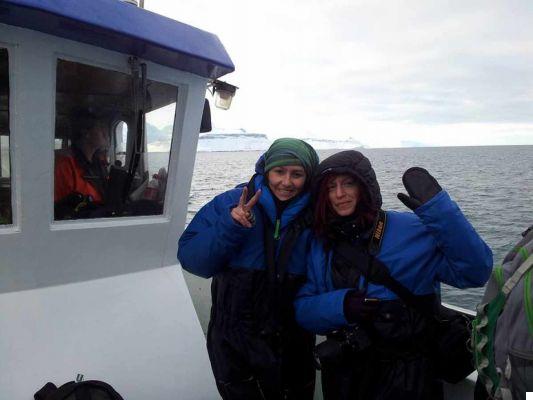 Guía completa de avistamiento de ballenas en Islandia