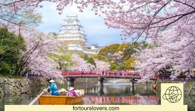 From the temples of Japan to the beaches of Polynesia, the most beloved tour