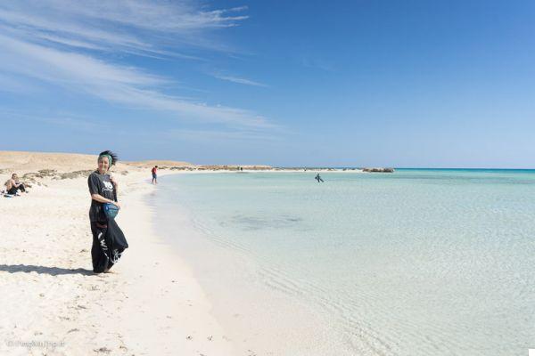 The Best Places To Snorkel In Marsa Alam