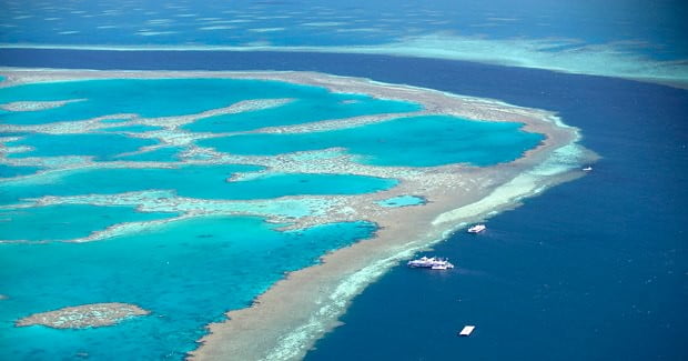 The Great Barrier Reef, one of the top things to see in Australia