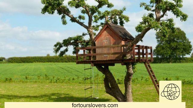 Dormir en una casa en un árbol en Italia: aquí es donde