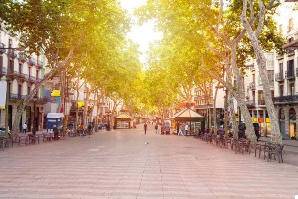 Barcelona on a Cruise: What to See in the City in a Few Hours