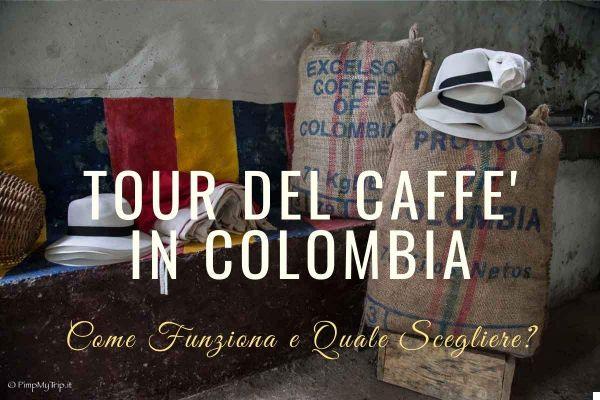 Tour de café en Colombia: cómo funciona y cuál elegir